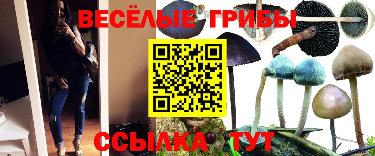 Псилоцибиновые грибы GOLDEN TEACHER  Вход с VPN  Еманжелинск 