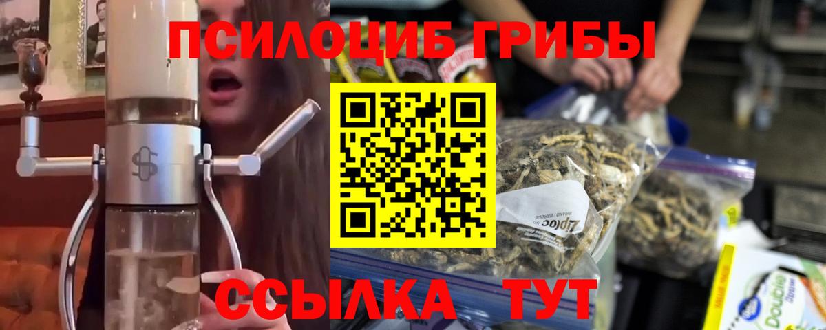 Псилоцибиновые грибы GOLDEN TEACHER Еманжелинск